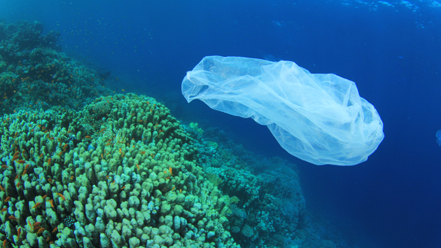 You are currently viewing There May Soon Be More Plastic in the Oceans Than Fish