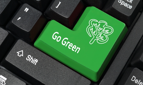 Read more about the article 50 Ways to Green Your Business