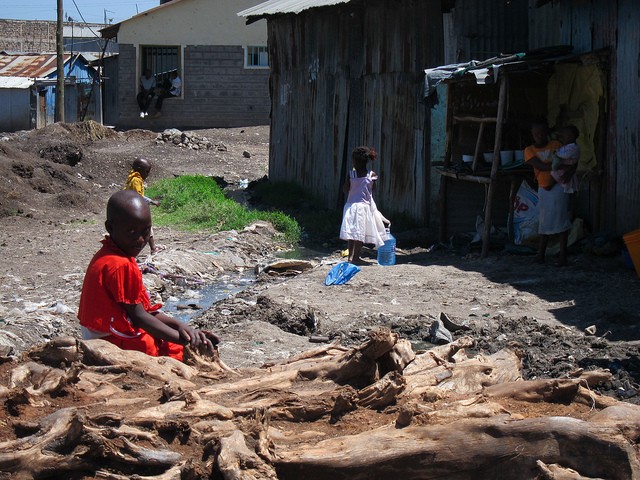 Read more about the article In Kenya, portable toilets find a new role: protecting trees