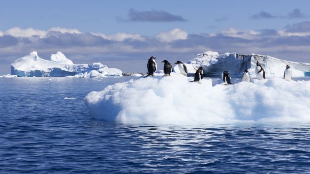 Read more about the article Antarctica CO2 Hits Highest Level in 4 Million Years