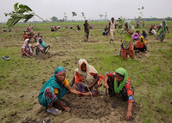 You are currently viewing India Plants 50 Million Trees in One Day, Smashing World Record