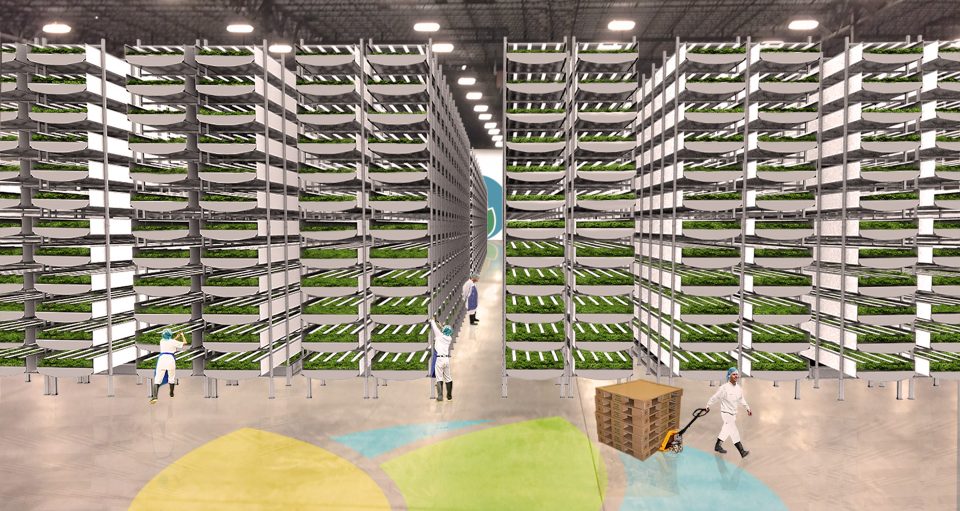 Read more about the article World’s Biggest Indoor Vertical Farm Near NYC to Use 95% Less Water