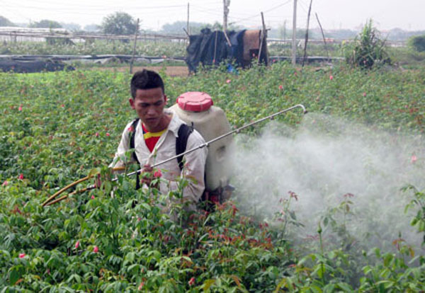You are currently viewing Are Agricultural Farms the Main Polluters in Viet Nam?